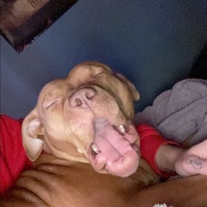 Meet your Posher, Logan